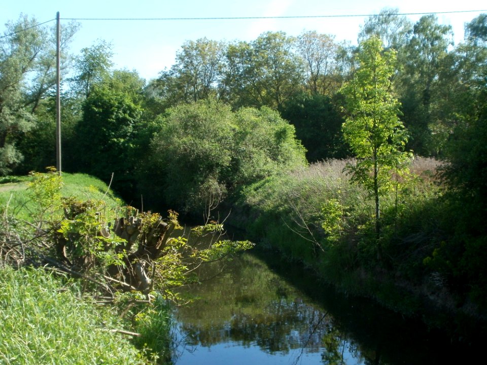 20120510Wagbach3
