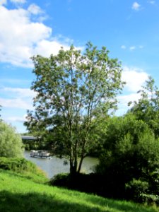 20120807Esche Saar Saarbruecken1