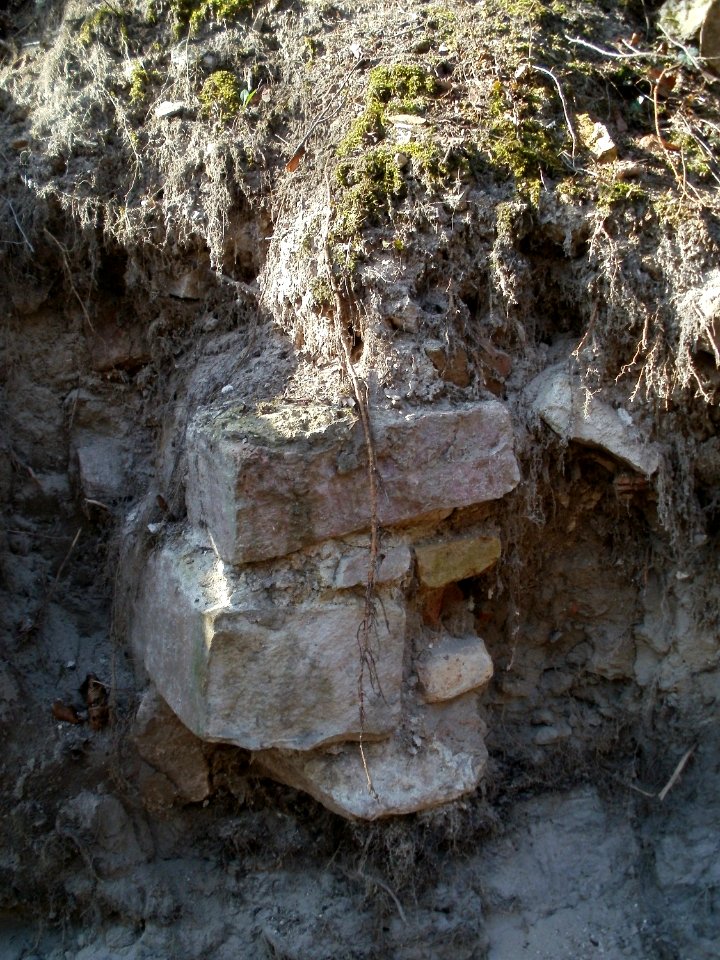 20120316Forsthaus Schwetzinger Hardt