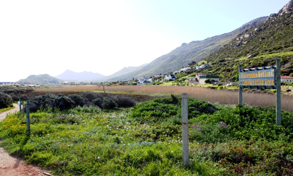 1Lower Silvermine River Wetlands Conservation Area - Cape Town