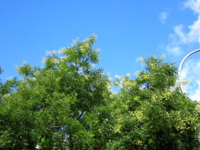 20120806Saarbruecken