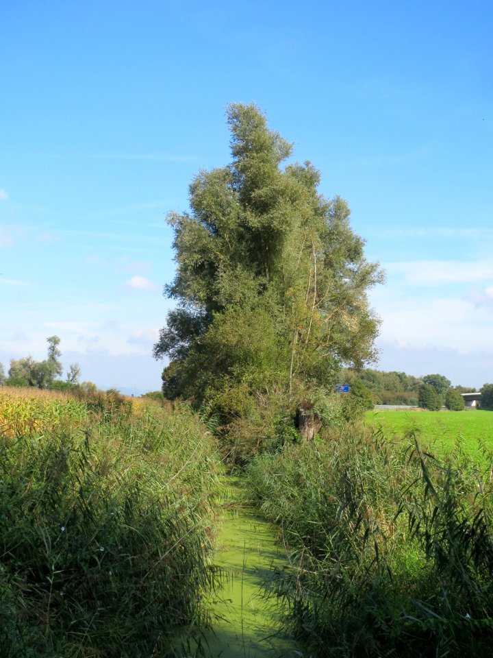 20130922Kotlachgraben2