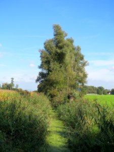 20130922Kotlachgraben2