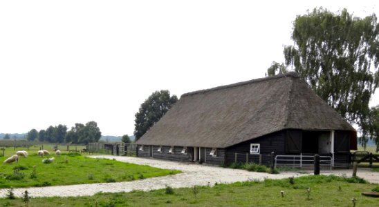 20130829 Wierdense Veld2
