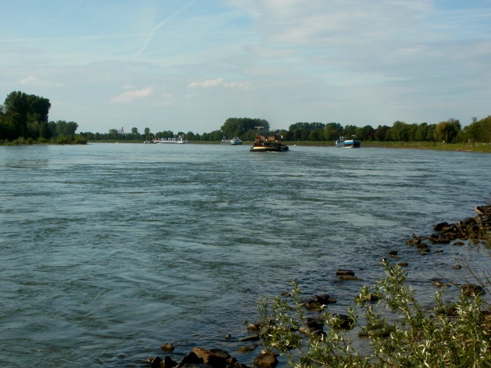 20120510Rhein Altlussheim3
