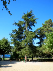 20130903Zeder Staden2