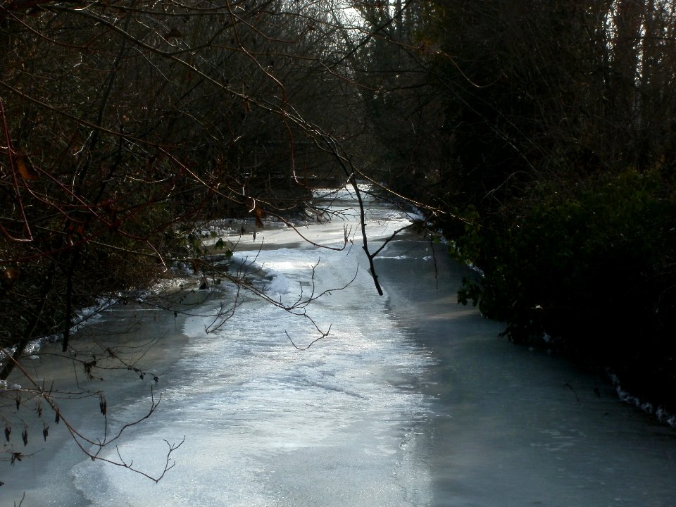20120208Kraichbach Hockenheim2
