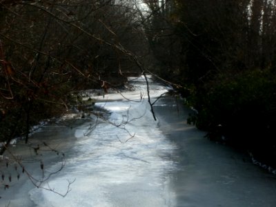 20120208Kraichbach Hockenheim2