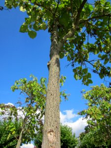 20120816Hockenheim11