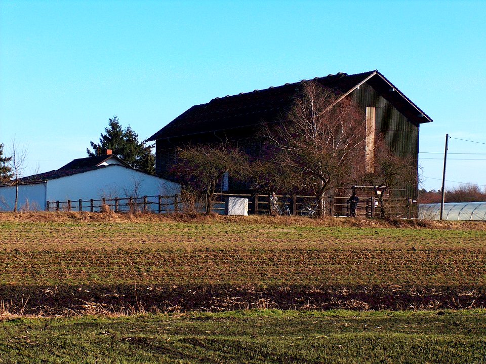 20110206Tabakscheune Reilingen01