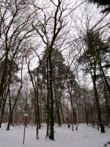 20130117Untere Lusshart01