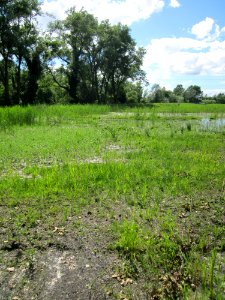 20130623Rueckhaltebecken Wagbach4