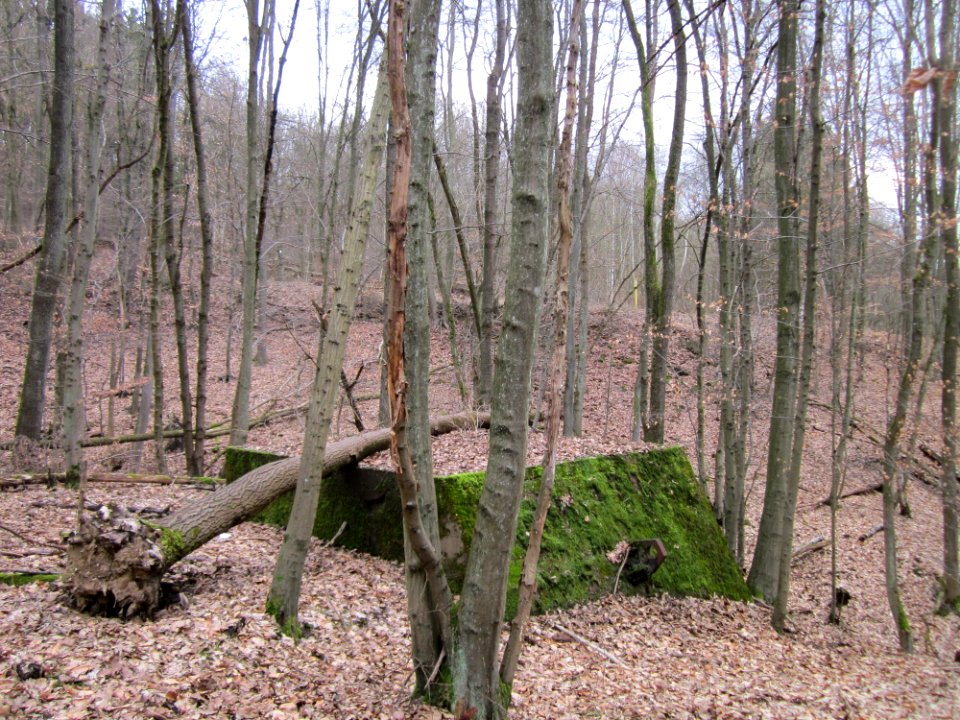 20130310Steinbachschacht03