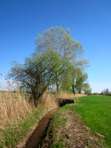 20130424Kotlachgraben