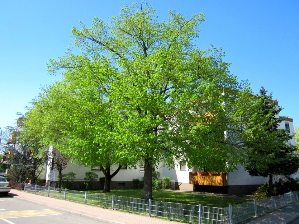20130424Linde Hockenheim