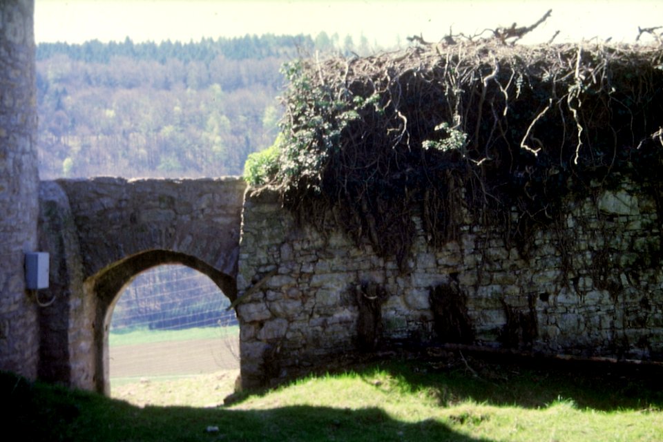 19880423Stetten13