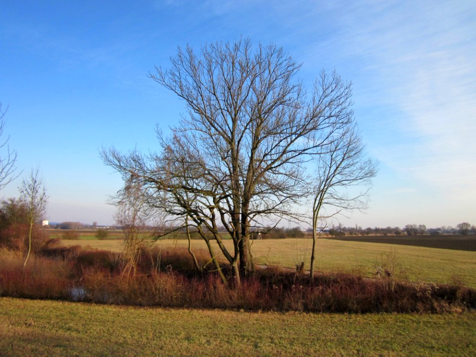 20130210Schleiwiese1