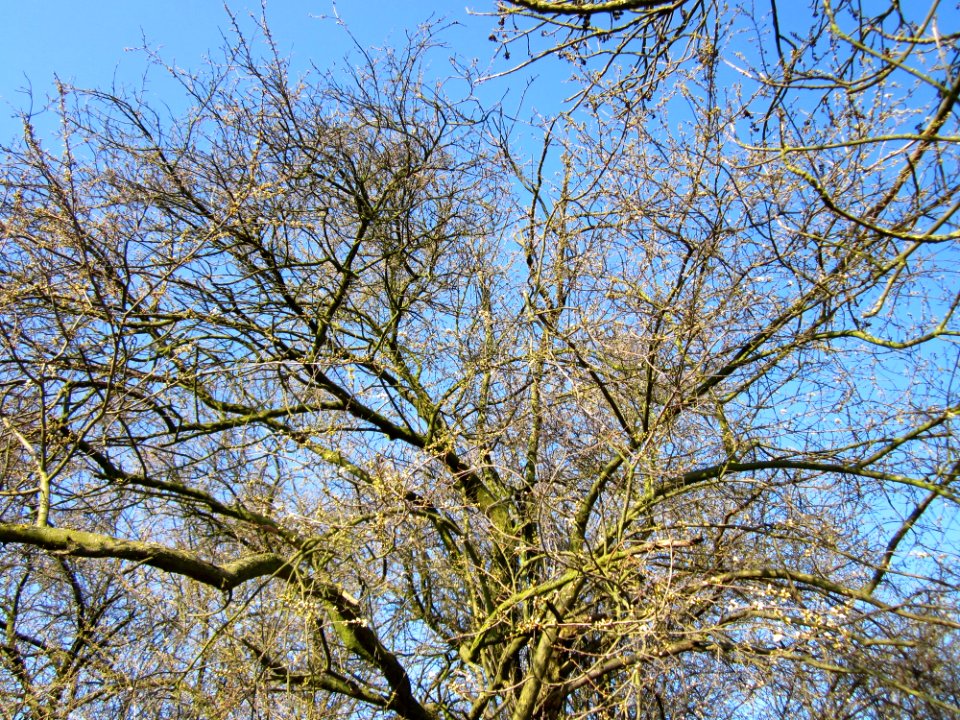 20130315Hockenheim3