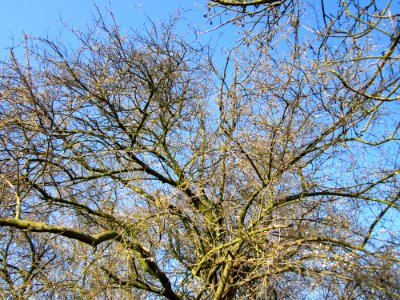 20130315Hockenheim3