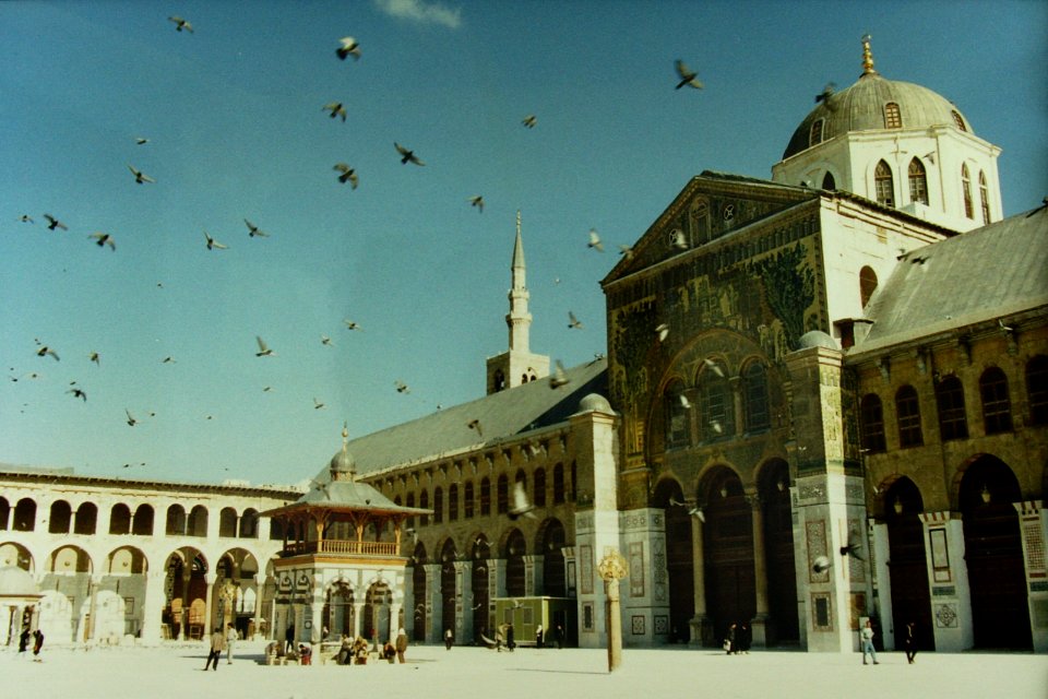 1993 in Damascus. Birds at Umayyad Mosque. Spielvogel