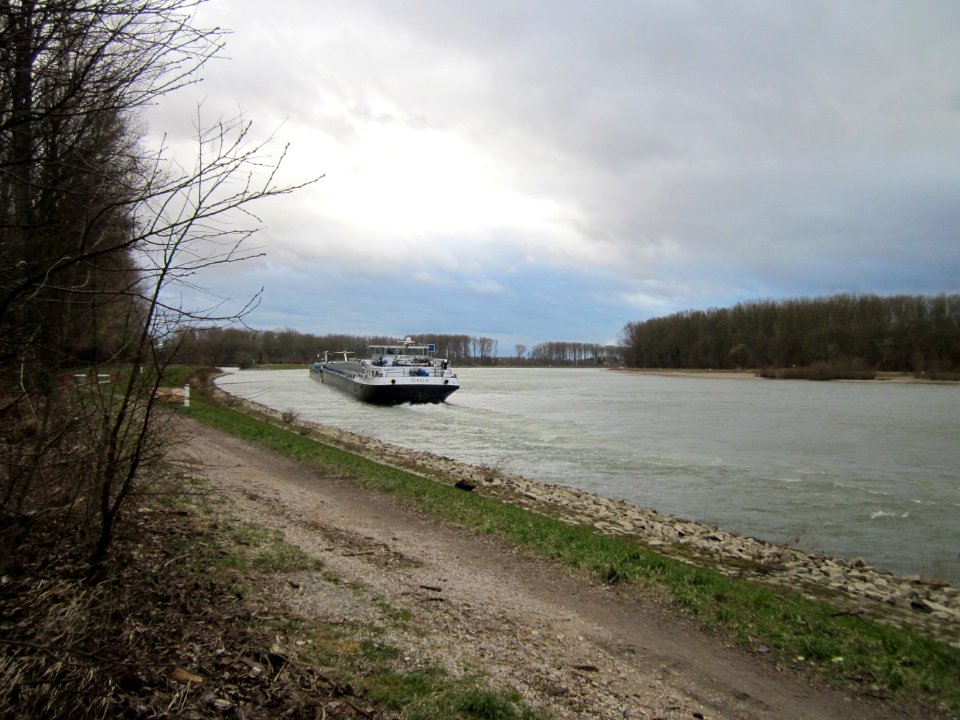 20130130Rhein Altlussheim5