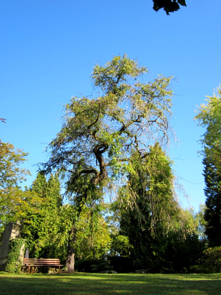 20121002Friedhof St Johann1