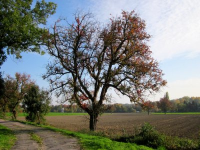 20121021Alte Landstrasse21