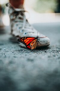 Street blur shoe