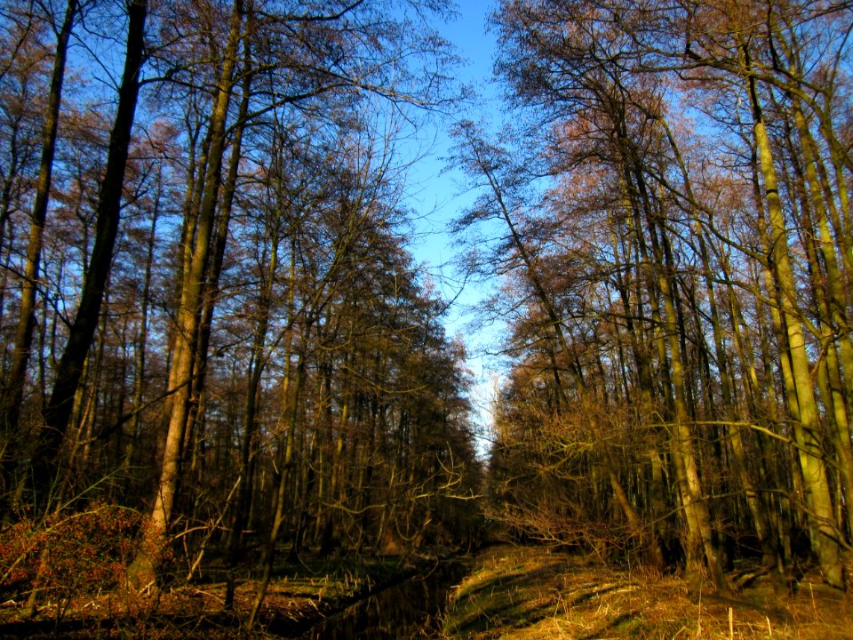 20130111Marlach Hockenheim1