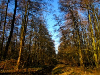 20130111Marlach Hockenheim1