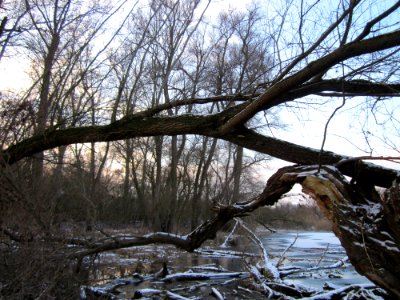 20130114NSG Herrenteich1