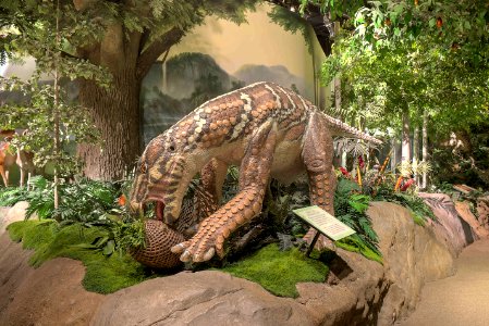 17 13 327 creation museum