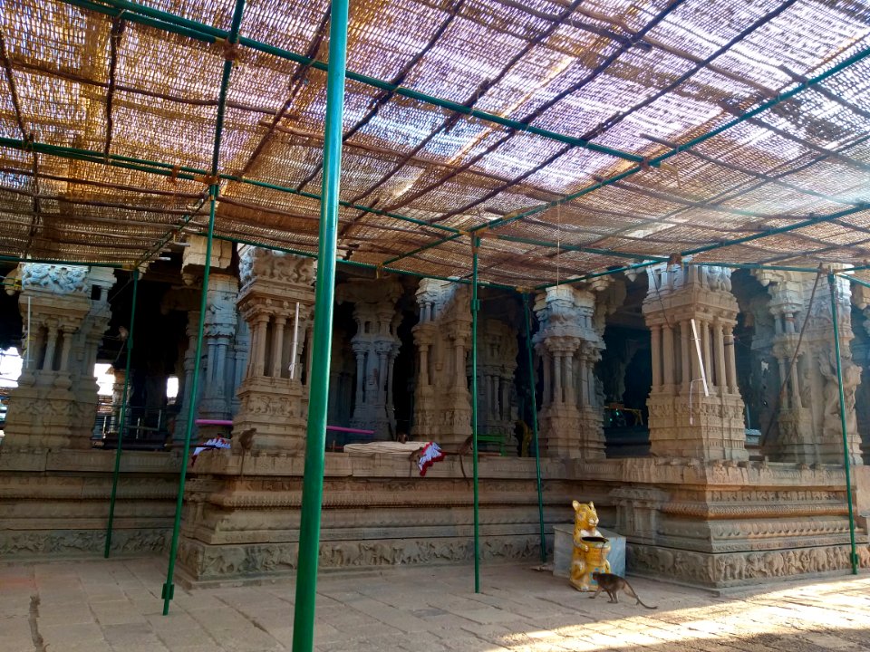 16th century Lakshmi Narasimha Swamy temple, Lower Ahobilam, Andhra Pradesh India - 88