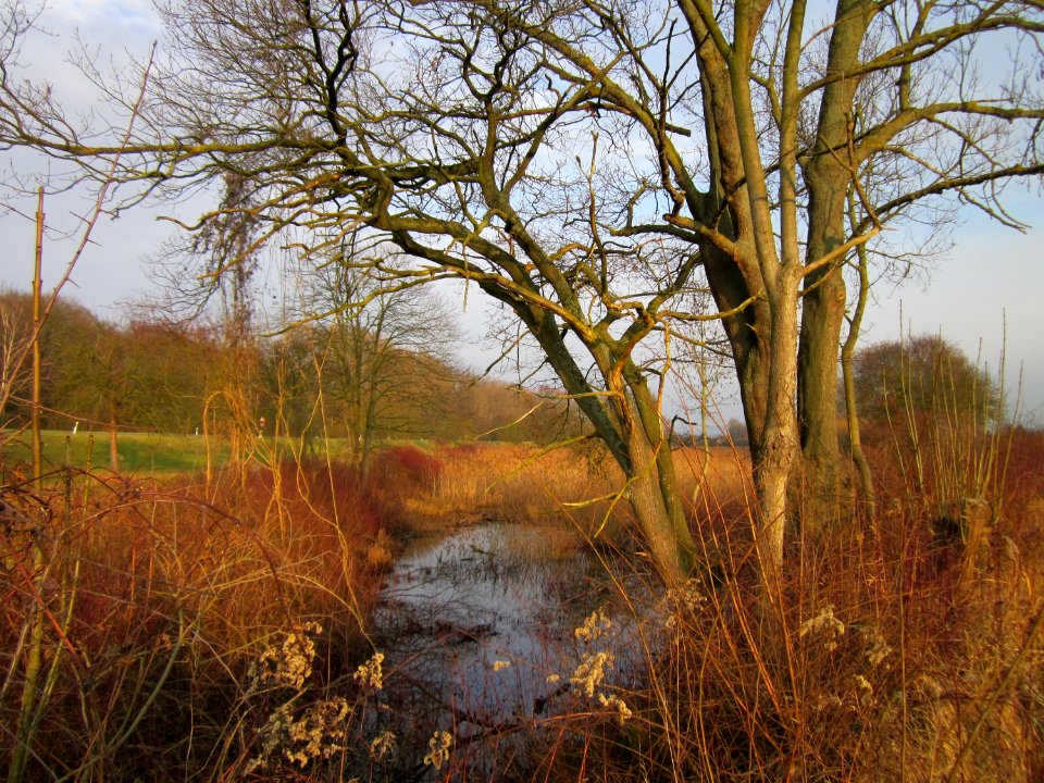 20130107Schleiwiese2