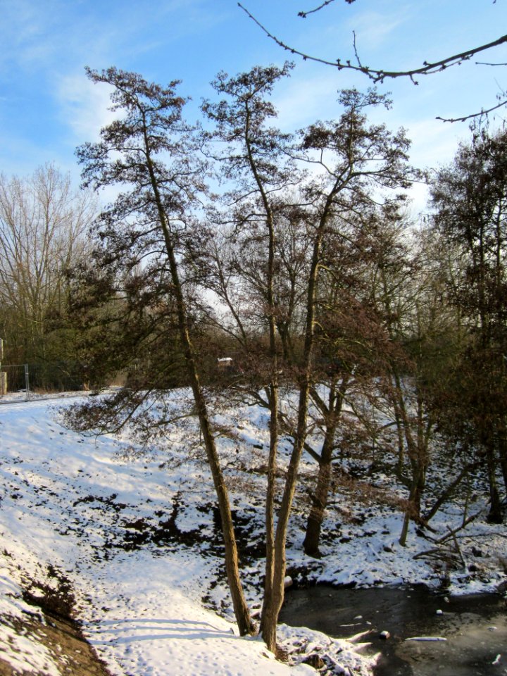 20130126Osthafen Saarbruecken4