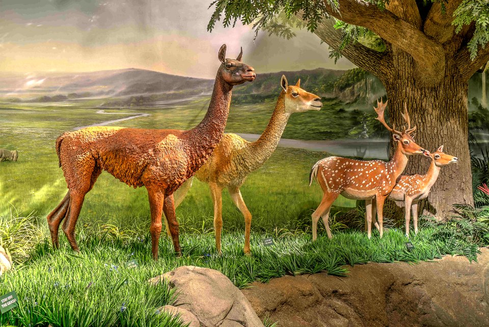 17 13 320 creation museum