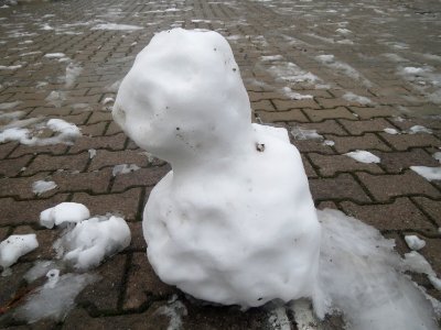 20170111Schneemann Hockenheim01