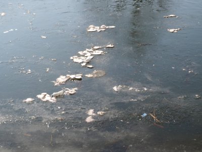20170122Saar3