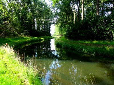20150716 Oude Wetering Lierderholthuisweg