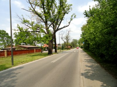 2017 Warszawa Mehoffera