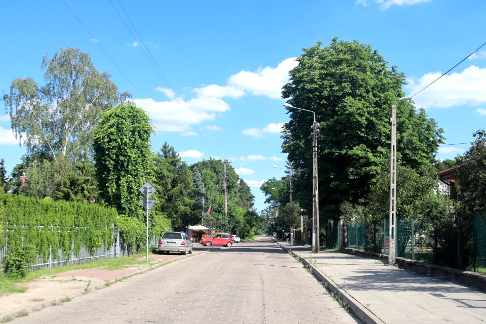 2020 Warszawa Majorki
