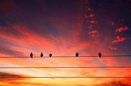 Power lines sky clouds photo