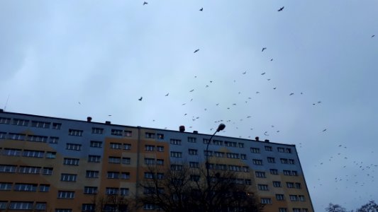 20200101 144330 January 2020 in Lodz