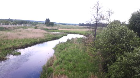 20190527 153542 Belarus-Poland border bobrowniki-berastavitsa May 2019
