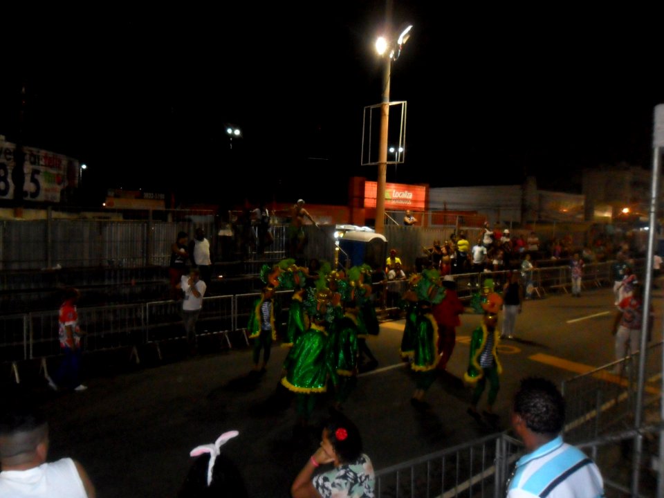 2015-02-15 - Acadêmicos de Vigário Geral (5)