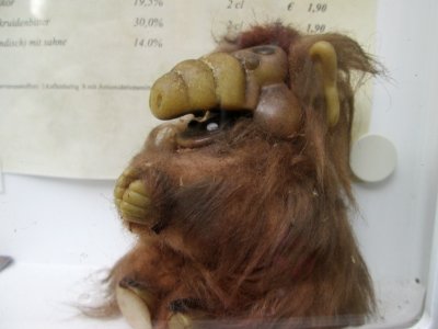 20190812Alf in Alf