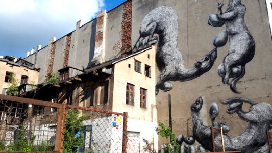 20190627 174548 Nowomiejska 7 Lodz June 2019
