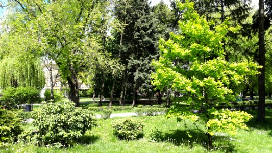 20190506 Park Staromiejski w Łodzi May 2019