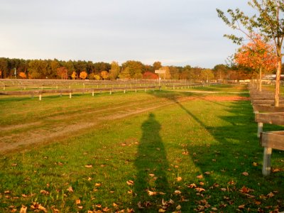 20151029Hockenheim2