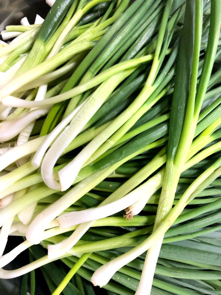 2020-03-13 21.10.26 korea tree onion